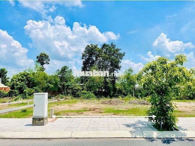 đất 475Tr mt nhựa 6m, 180m2 full Thổ, gần bv Xuyên Á, Tân Phú Trung