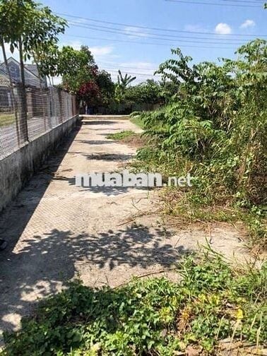 Bán Đất Thổ Cư đường Võ Văn Ngân, Đức Hòa, Long An, 5x25m