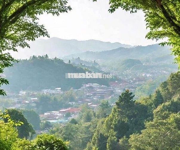 CHO THUÊ KHÁCH SẠN MẶT TIỀN BÀ TRIỆU, P. XUÂN HƯƠNG - ĐÀ LẠT