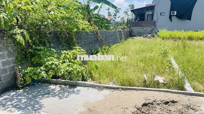 🏌️‍♂️ CHÍNH CHỦ BÁN LÔ ĐẤT 87,3M² – VIEW DỰ ÁN SÂN GOLF TẬP ĐOÀN TRUMP