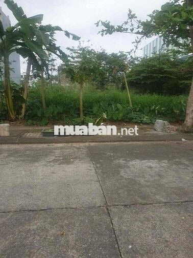 CHÍNH CHỦ LÔ ĐẤT ĐẸP TÁI ĐỊNH CƯ PHONG NAM HÒA XUÂN ĐƯỜNG 7,5M