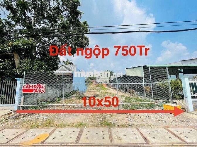 BÁN LỖ LÔ ĐẤT 500M2 MT ĐƯỜNG NGUYỄN KIM CƯƠNG, CỦ CHI GIÁ 690 TRIỆU