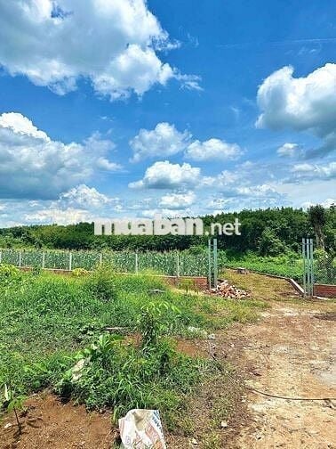 chính chủ ngộp bán gấp mãnh đất view sông tại TP HCM