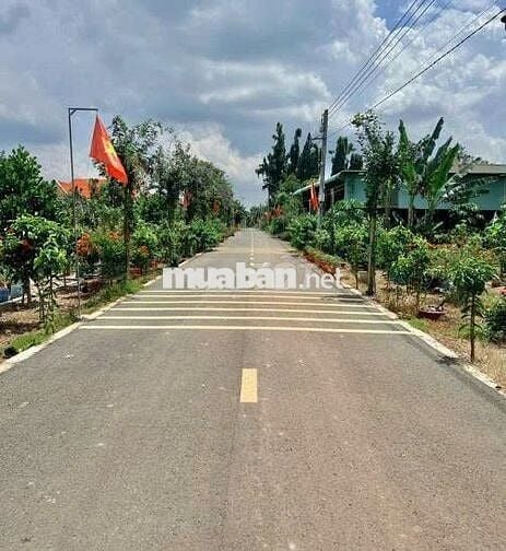 Đất Ngộp TP HCM mới, đường nhựa DT 600m2 thổ cư 200m2, Giá 650 triệu