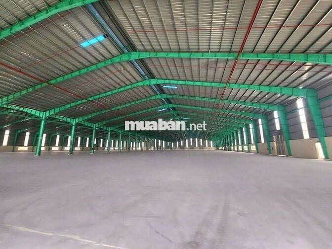 Cho thuê xưởng 55.000m2 trong Hớn Quản Bình Phước