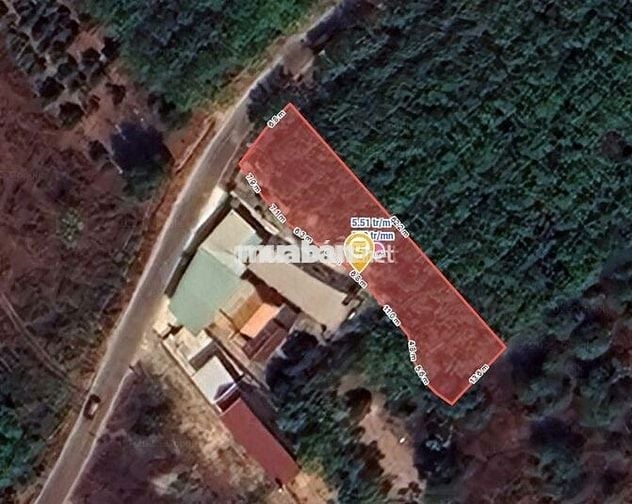 Chính chủ bán lô đất đẹp 870.6m² tại Thị trấn Tân Bình