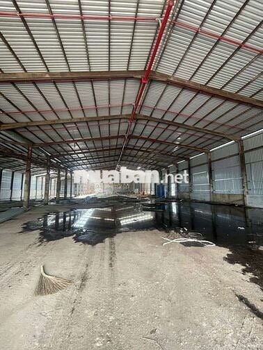 Cho thuê xưởng 3000m2 tại An Phú Thuận An Bình Dương