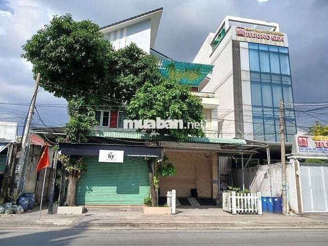 Nhà 3 Tầng 15x60(879m2) Mặt Tiền An Bình - Dĩ An Thu Nhập 100tr/tháng