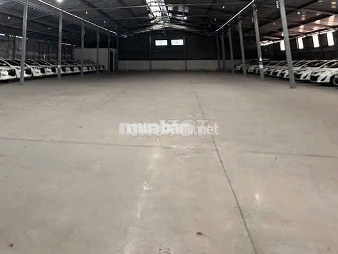 Cho thuê mặt bằng kho bãi Quận 7 DT 1200m