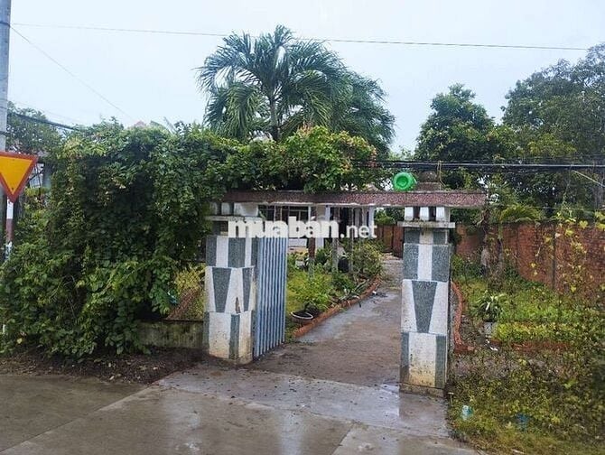 Cho thuê biệt thự và vuờn khu kênh Năm Bưởi,Ấp Tân Phú