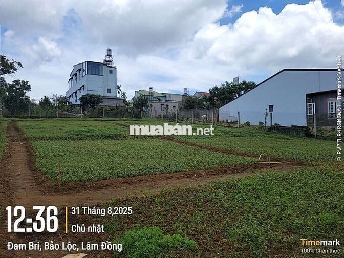 ĐẤT ĐẸP NGAY GẦN TRUNG TÂM SẴN THỔ CƯ