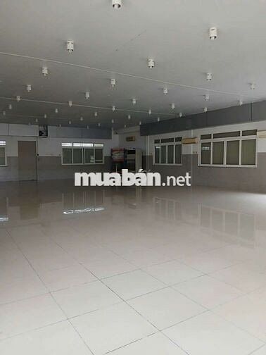 KHO XƯỞNG (5.000m²) MT DƯƠNG ĐÌNH CÚC, BÌNH CHÁNH cũ