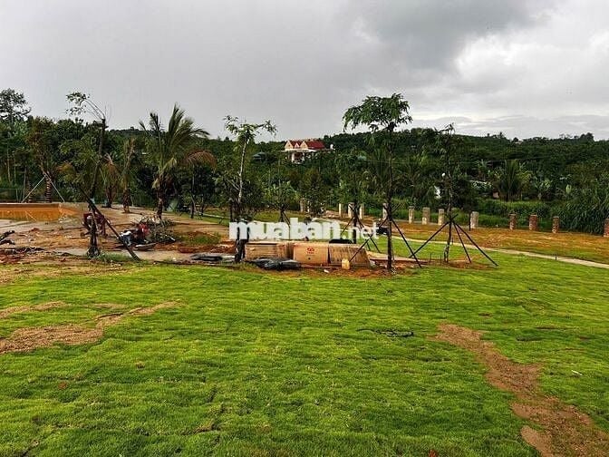 Cần bán gấp lô đất có sẵn full thổ cư đường nhựa ô tô vào thoải mái