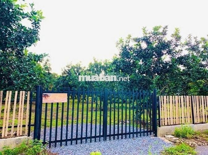 bán đất bcó rào sẵn trồg cây ăn trái