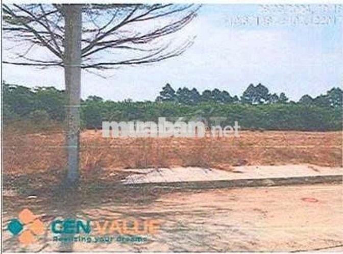 Bán ĐGTS đất tại phường Tân Thành, TP. Hồ Chí Minh