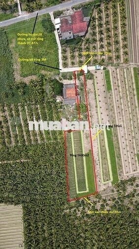 Đất gia đình cần bán 1600m2 CLN đường huyện 28, đạo thạnh. 2tr/m2