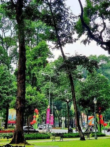BÁN NHÀ NGAY DINH ĐỘC LẬP & NHÀ THỜ ĐỨC BÀ