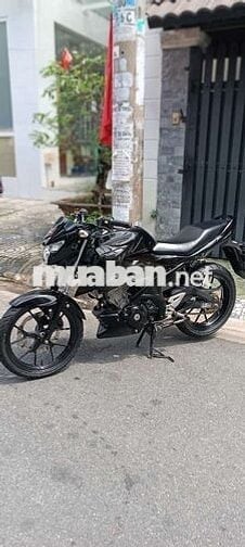 Bandit bs49