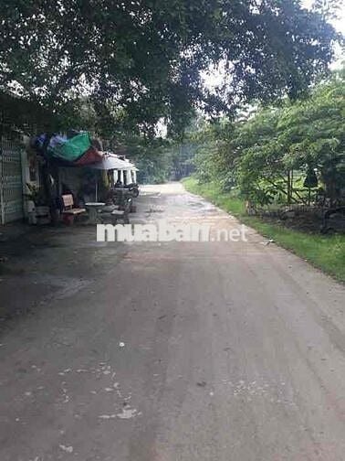 BÁN ĐẤT TỈNH LỘ 10, 58M2, THỔ CƯ, HẺM Ô TÔ
