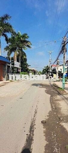 ĐẤT VƯỜN 1100M2 CÓ THỔ CƯ. ĐƯỜNG XEHƠI. XÃTÂN CHÁNH. CẦN ĐƯỚC. LONG AN