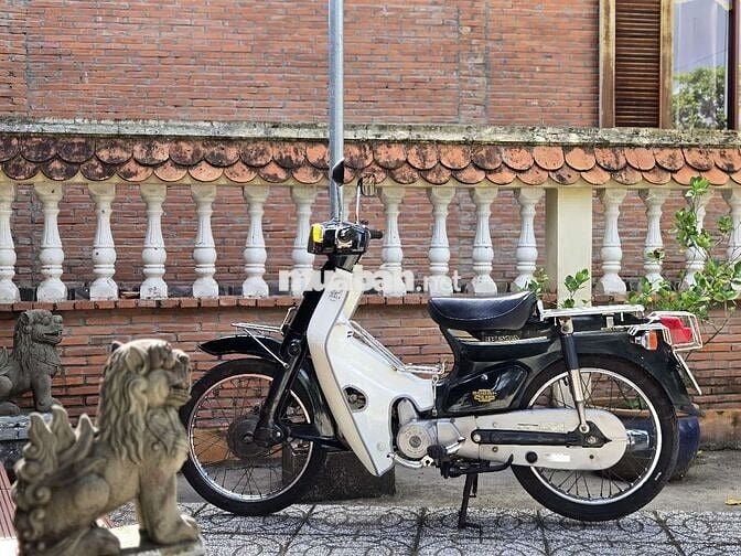 Em ít chạy muốn bán chiếc Cub Custom nội địa Nhật