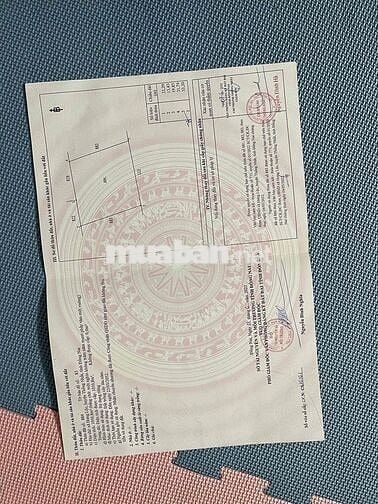 cần bán miếng đất diện tích 1050 mét vuông ,đẹp rộng