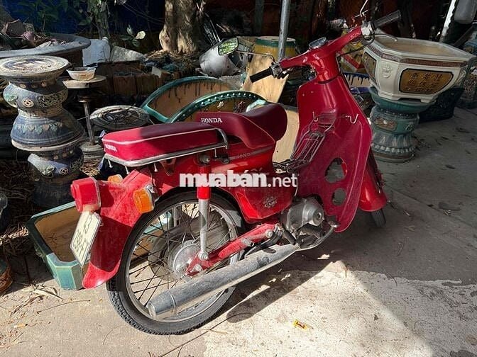 81-50cc