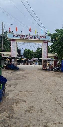 bán đất ở An Vĩnh,đảo Lý Sơn, Quảng Ngãi đang hot với diện tích 168m².