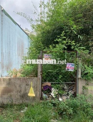Bán Lô Đất Full Thổ Cư Hẻm 1959 Lê Văn Lương - Nhơn Đức Nhà Bè.