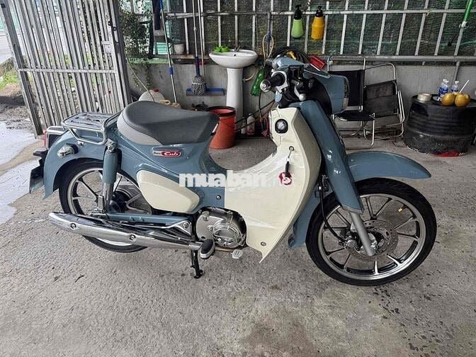 cub 125 2019