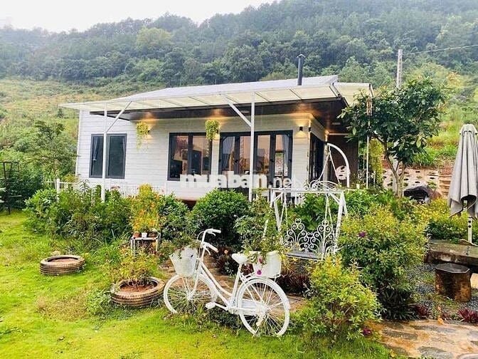 MUA ĐẤT TẶNG NHÀ - CÔ 2 BÁN ĐẤT VƯỜN P10 ĐÀ LẠT 850TR VIEW SĂN MÂY