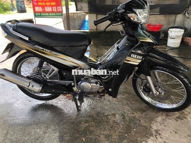 thanh lý 2 con sirus