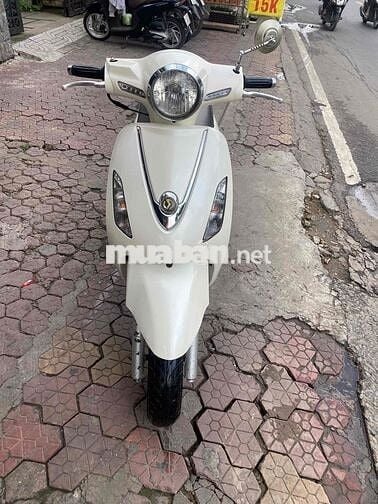 xe Elizabeth trắng biển đẹp