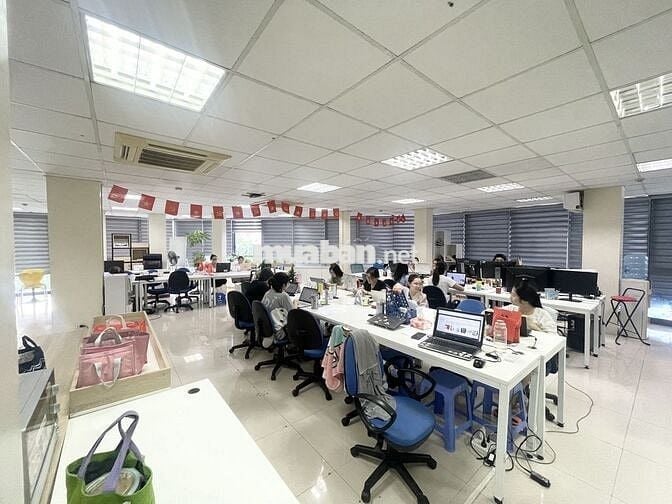 🏢 Cho thuê văn phòng 200m² – 37tr/tháng – Dịch Vọng Cầu Giấy