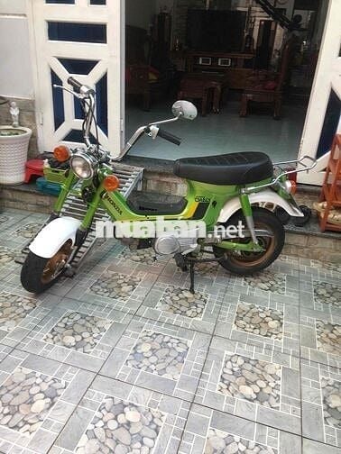 chaly78 xe Nhật