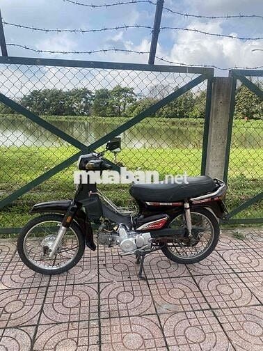 xe dream trung quốc gtdd