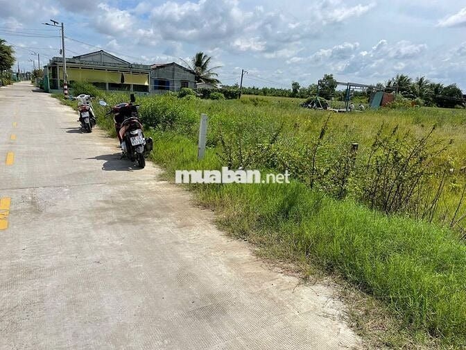 Chinh Chủ Bán Đất Mặt Tiền TT Cần Đước Giá 100%