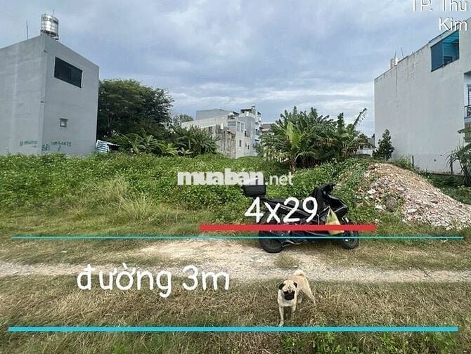 ĐẤT HIỆP THÀNH – Giá bán: 1 TỶ 550 DT 4 x 29m – thổ cư 40m²