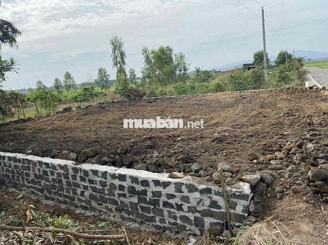 Chính chủ cần bán gấp mảnh đất mặt tiền nhựa