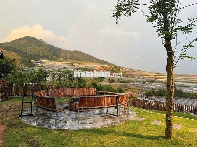 BÁN NHÀ SÂN VƯỜN 841m2 SÂN ĐẬU 5 CHIẾC Ô TÔ SỔ RIÊNG TẠI PHƯỜNG