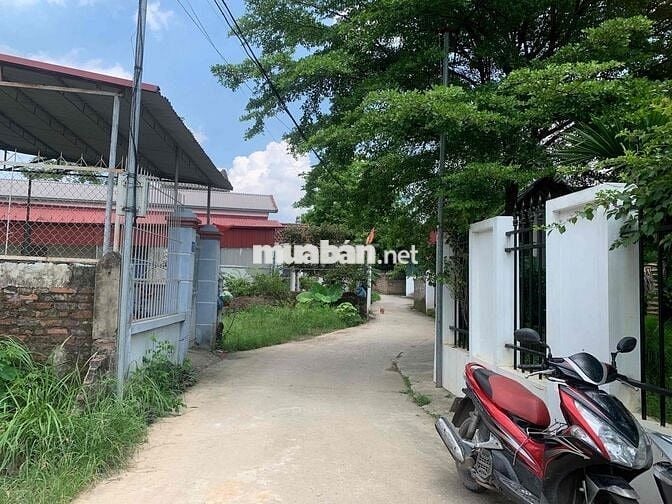 Bán đất – Thái Lai (Minh Trí – Sóc Sơn) – 120m² – 1,7 tỷ – Full Thổ Cư