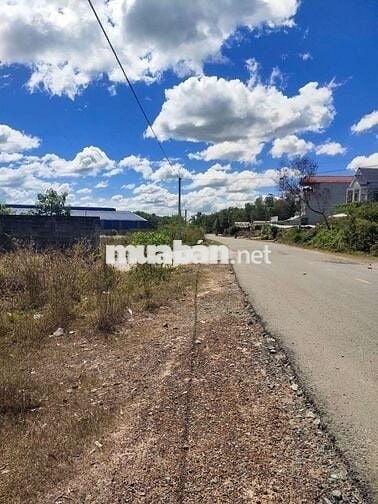 💥 4ha skc đóng tiền rồi 
💥giá bán : 2trxx/m2 thương lượng
