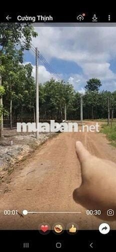 Đất quy hoạch SKC sản xuất kinh doanh 1,4ha giá 6,2 tỷ xã Minh Thạnh