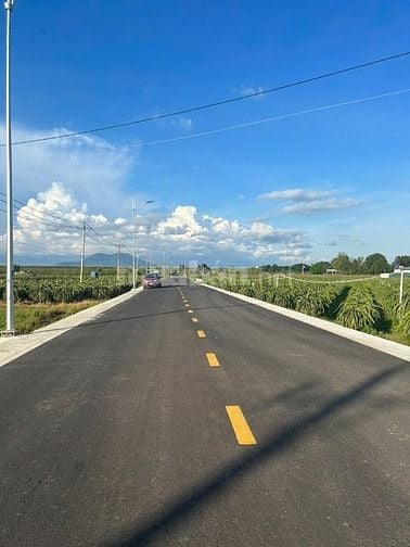 1482m2 Nguyễn Minh Châu Tân Tiến LaGi Đường Nhựa Giá Chỉ 1,8 Tỷ