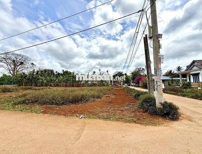BÁN LÔ GÓC 2MT HẺM QL14-26 PHƯỜNG TÂN AN(BMT). GIÁ: 1,125 TỶ