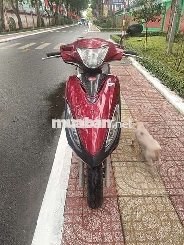 JOCKEY 125