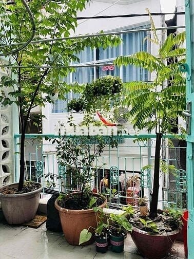 Cho nữ sinh viên ở ghép giá rẻ