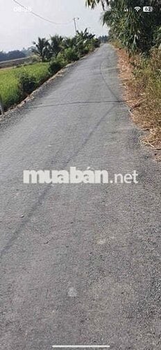 giá : 570tr/ 1000m2 đất lúa  , xã bình an - thủ thừa - long an
