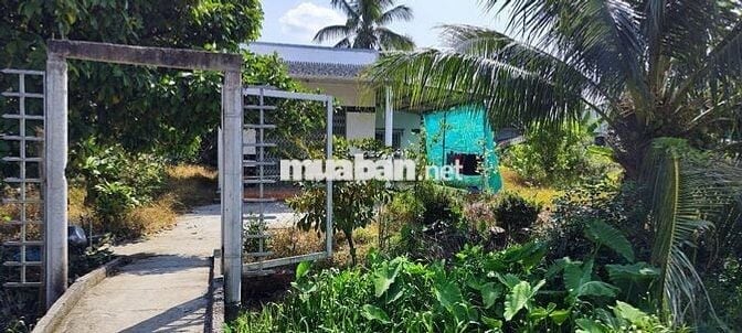 1955.5m2 đất CLN (có 200m2 thổ cư) sổ hồng - 750tr/công