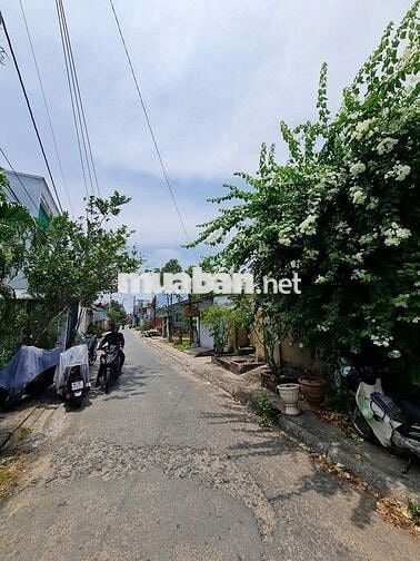 Bán đất full thổ hẻm ôtô Đường Nguyễn Chí Thanh, P5